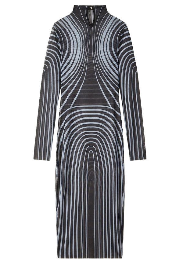 Printed Sheer Bodycon Dress