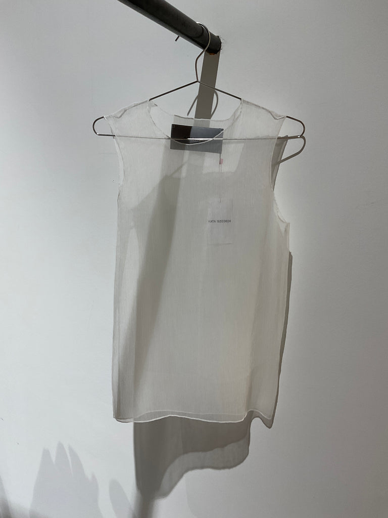 Sheer Silk Top