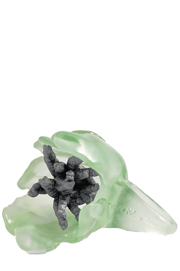 Parrot Growing Ring