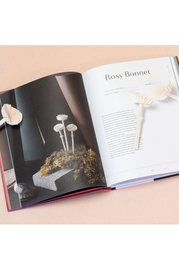 Uncommon Paper Flowers: Extraordinary Botanicals And How To Craft Them By Kate Alarcón