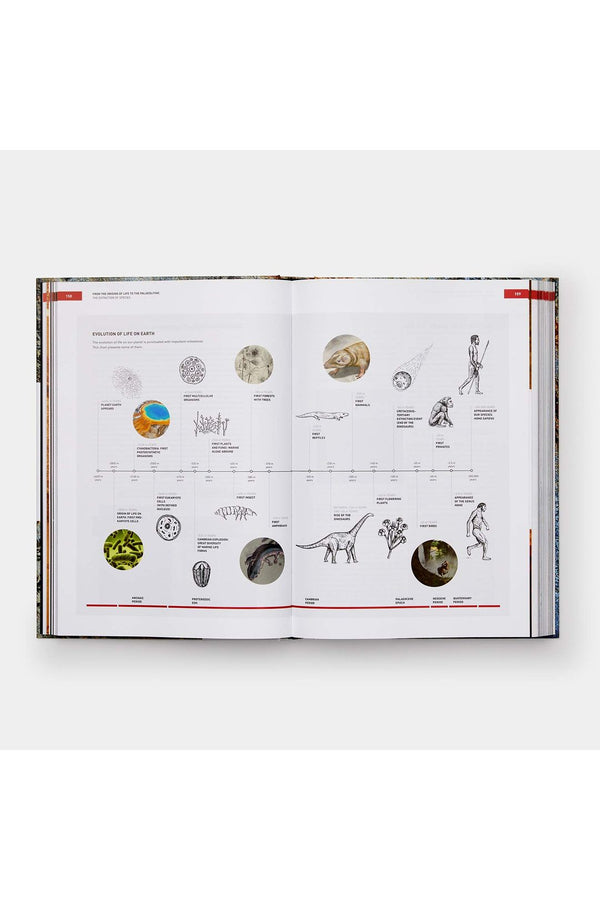 Origins Of Cooking By Ferran Adrià's El Bulli Foundation